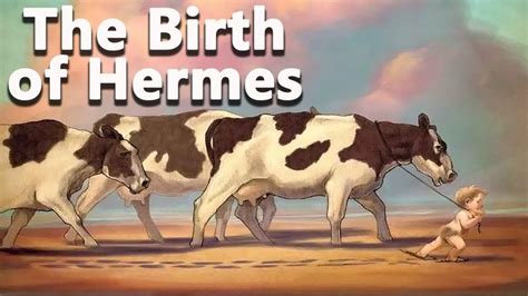 hermes birth story